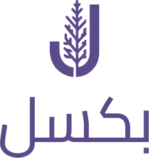 تصميم شعار بكسل