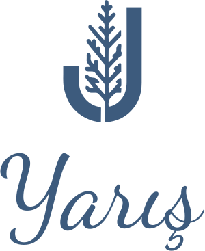 Yarış logo tasarımı