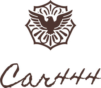 Car444 logo design