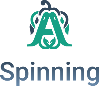 Spinning logo design