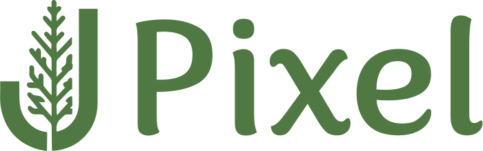 Pixel logo design