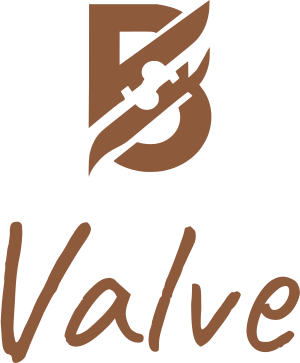 Valve logo design