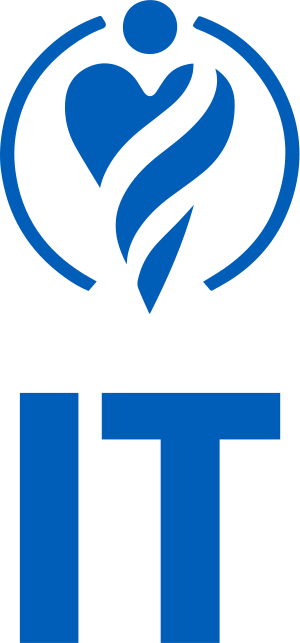 IT logo design