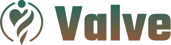 Valve logo design