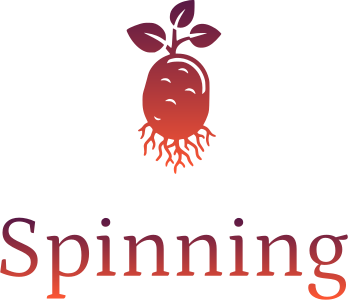 Spinning logo design