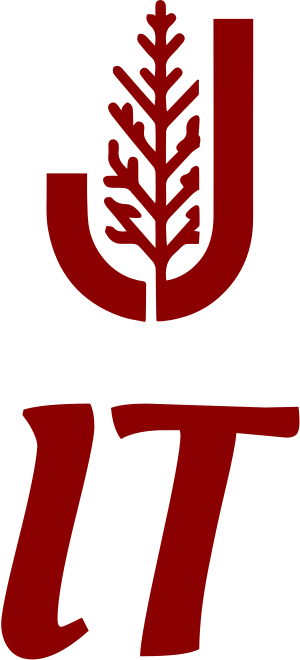 IT logo design