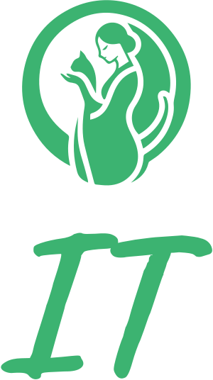 IT logo design