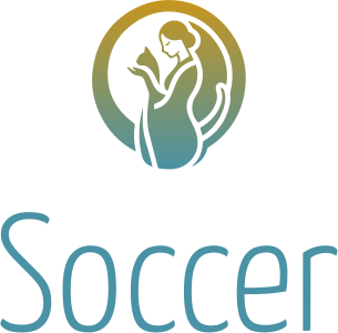 Soccer logo design