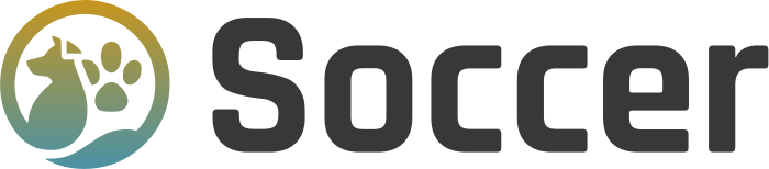 Soccer logo design