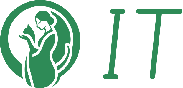IT logo design