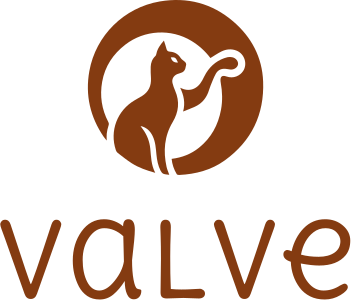 Valve logo design