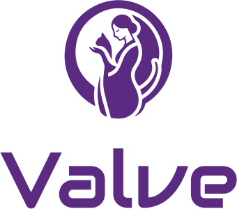 Valve logo design