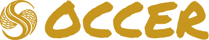 Soccer logo design