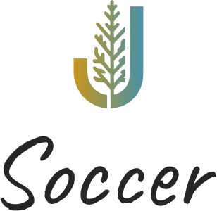 Soccer logo design