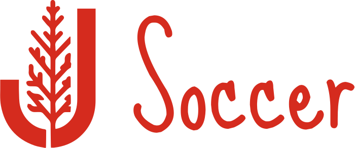 Soccer logo design