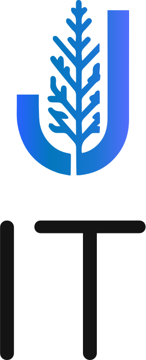 IT logo design