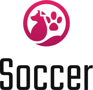 Soccer logo design