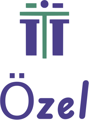 Özel logo tasarımı