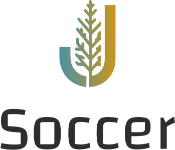Soccer logo design