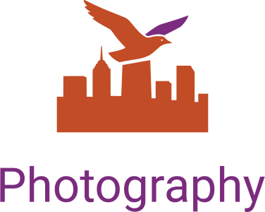 Photography logo design
