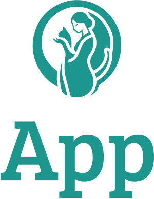 App logo design