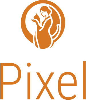 Pixel logo design
