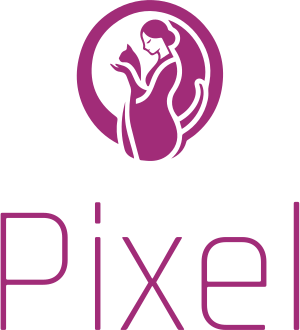 Pixel logo design