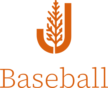 Baseball logo design